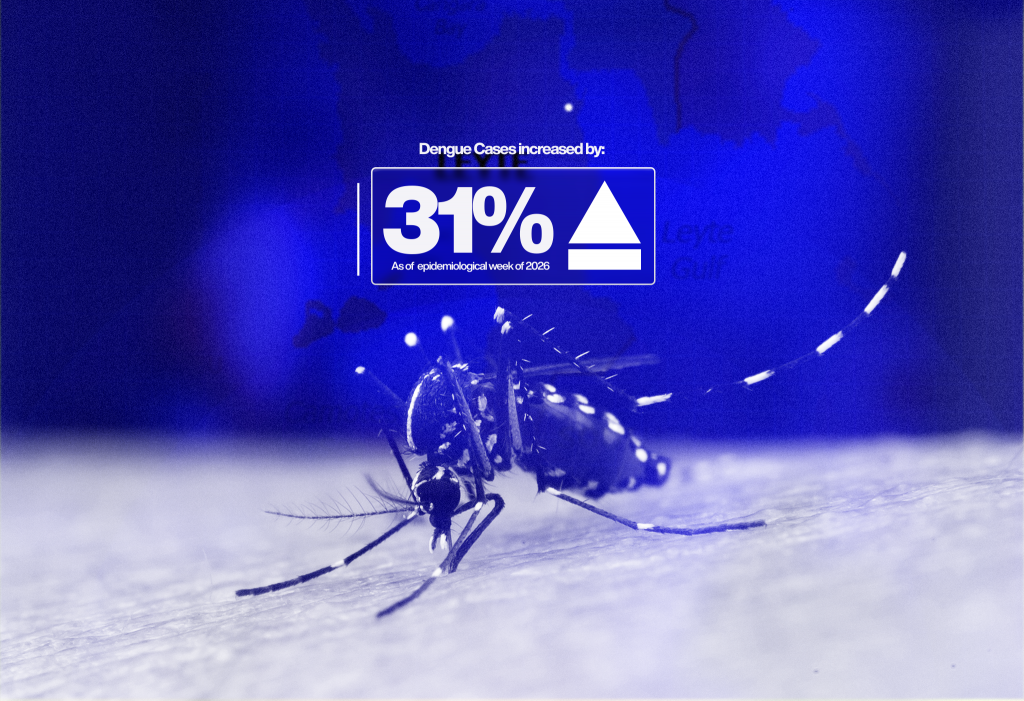 Tacloban raises Code Blue Alert as dengue cases reach 272
