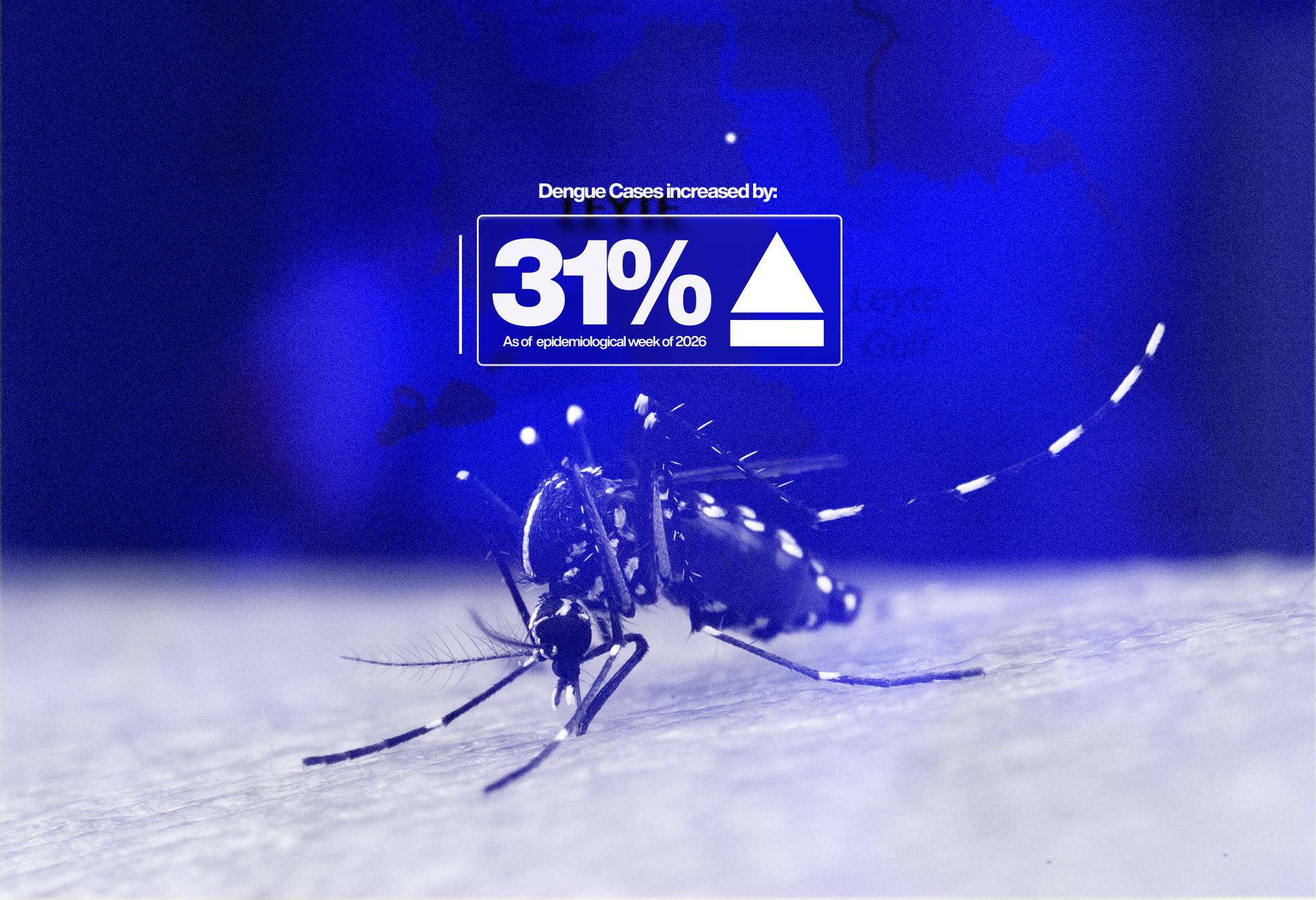 Tacloban raises Code Blue Alert as dengue cases reach 272